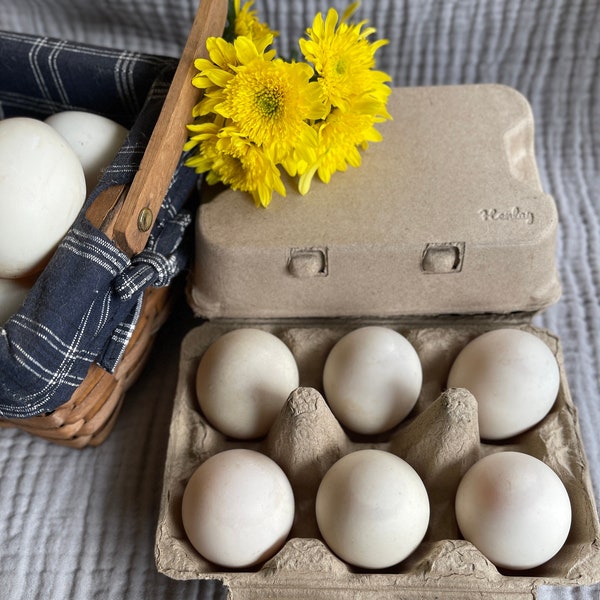 Henlay Duck Egg Cartons- Holds Half Dozen Jumbo Eggs From Your Duck or Goose- Blank Top (20 or 100 Pack).