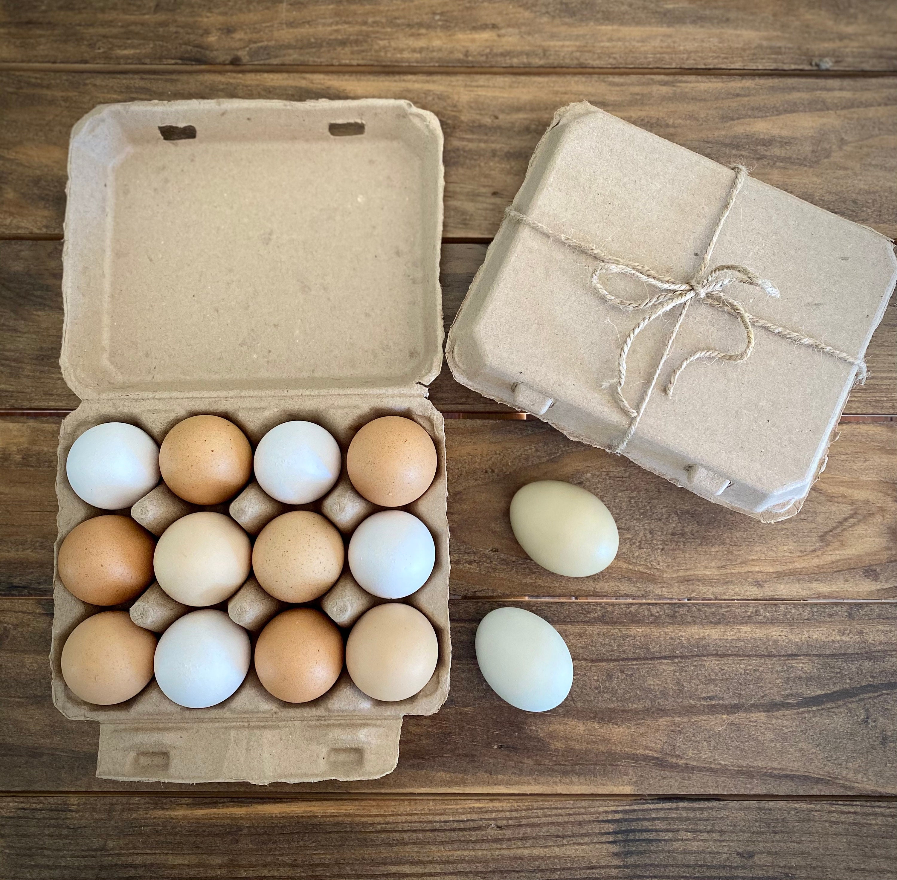 Natural Pulp Egg Carton Blank –
