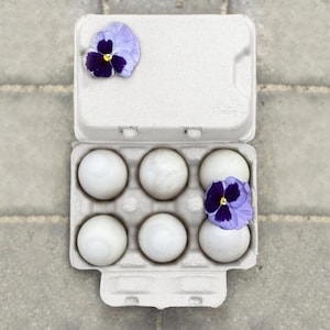 Henlay White Duck Egg Cartons- Holds Half Dozen Jumbo Eggs- Blank Flat Top (20 Pack)