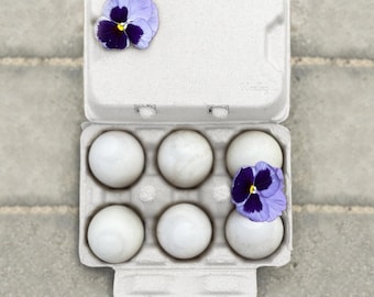 Henlay White Duck Egg Cartons- Holds Half Dozen Jumbo Eggs- Blank Flat Top (20 Pack)