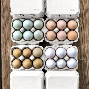 Henlay Weißes halbes Dutzend Eierkartons- Blank Flat Top Six Pack (20er Pack)
