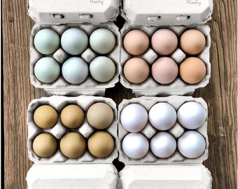 Dozen Fertilized Rainbow Eggs