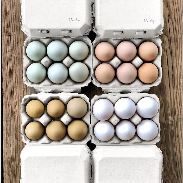 Henlay White Half Dozen Egg Cartons- Blank Flat Top Six Pack (20 Pack)