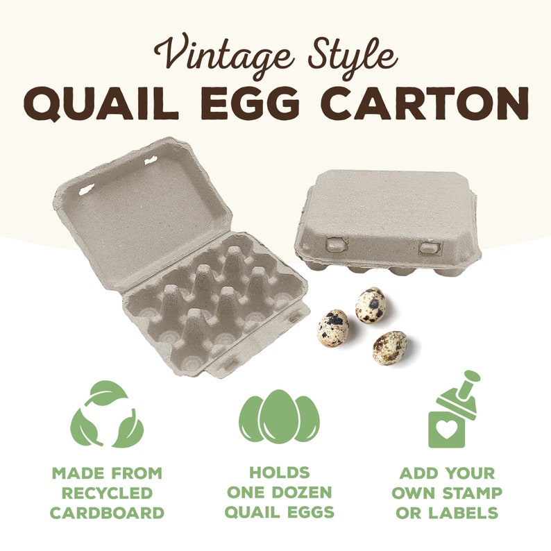 Puede incluir: Un cart&oacute;n de huevos de estilo vintage para una docena de huevos de codorniz. El cart&oacute;n est&aacute; hecho de cart&oacute;n reciclado y tiene un color marr&oacute;n claro. El cart&oacute;n est&aacute; abierto y hay tres huevos de codorniz delante.