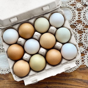 Cartones para huevos vintage blancos: estilo clásico de 3x4 con capacidad para 12 huevos grandes, diseño resistente hecho de cartón reciclado (paquete de 25, 75 y 200)