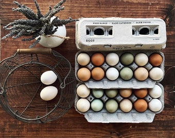 Printed Egg Cartons Blank Center for Your Custom Stamp - 25 Pack