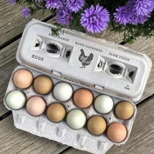Cartones de huevos impresos localmente: adorable diseño vintage (paquete de 25, 90 o 250).