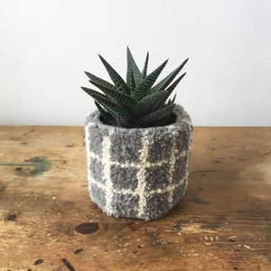 May include: A small succulent plant in a grey and white checkered planter. The planter is made of a soft, fuzzy material.