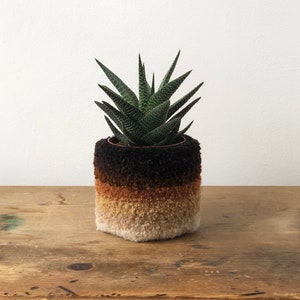 May include: A small green succulent plant in a brown, orange and white ombre planter. The planter is made of a fuzzy material.