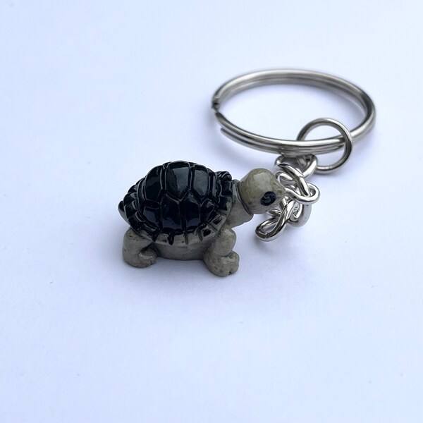 Tortoise Gifts 60+ Gift Ideas for 2024