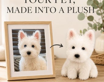 Peluche personnalisée pour animaux de compagnie à partir d'une photo, réplique miniature de chien ou de chat faite à la main, cadeau commémoratif personnalisé, souvenir personnalisé pour les amoureux des animaux