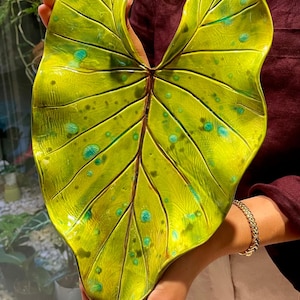 Ceramic Summer Leaf