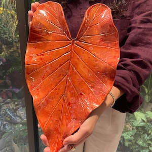 May include: A large, heart-shaped ceramic leaf sculpture in a vibrant orange hue with a glossy finish. The surface features intricate, raised vein details and subtle red speckling throughout, mimicking the natural texture of a tropical plant leaf.