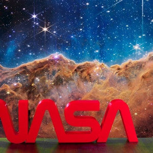 NASA Worm Logo 3D Print Desk Shelf Display