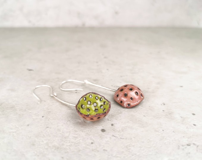 Caves / Enamelled earrings