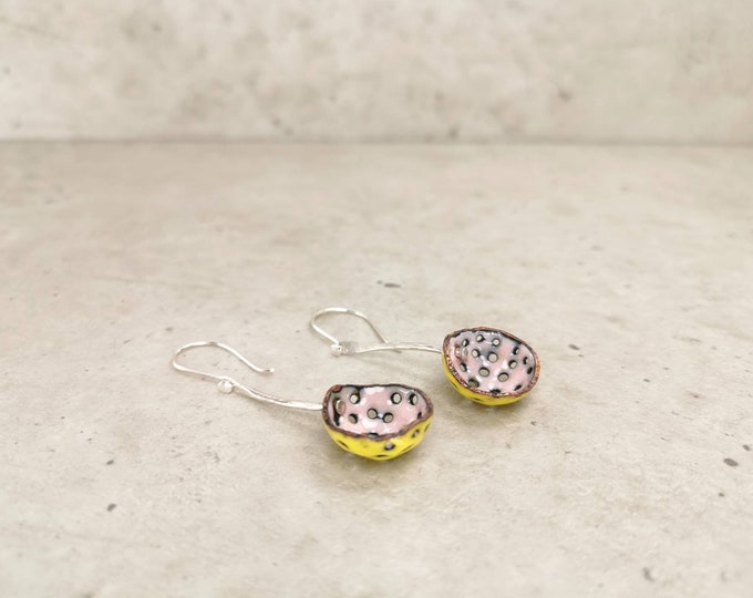 Caves /Enamelled earrings