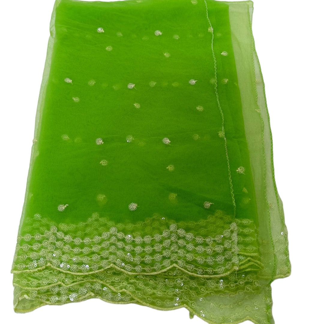 Sea Green Embroidered Net Dupatta With Sequinned main image 1