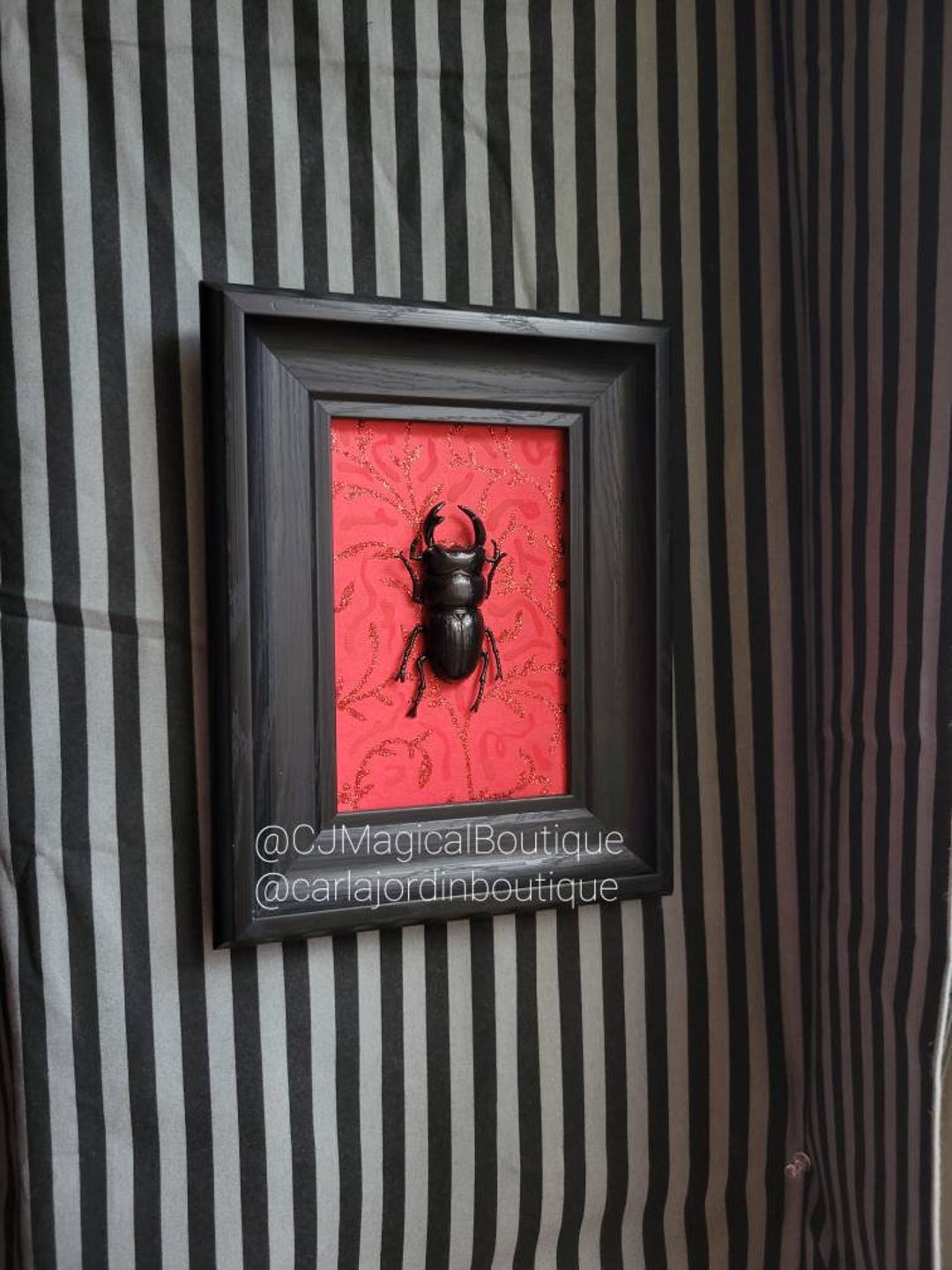 Beetle Taxidermy Insect Taxidermy Butterfly Taxidermy Bugs Etsy