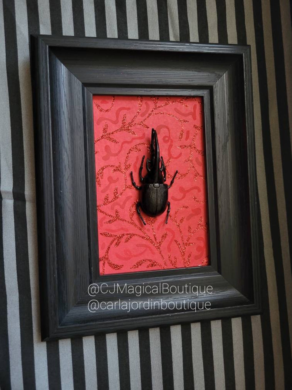 Beetle Taxidermy Insect Taxidermy Butterfly Taxidermy Bugs Etsy