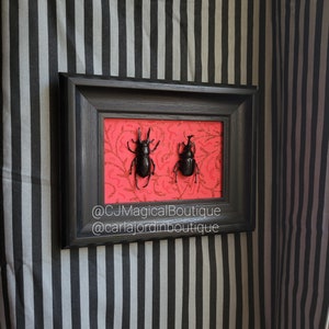 Handmade Beetle Art: Gothic Home Decor (4x6 Wooden Frame)