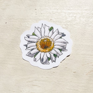 Arizona Saguaro Cactus Flower State Flower Watercolor Sticker