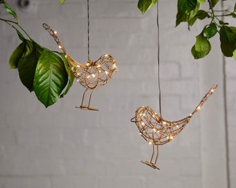 Outdoor Battery Lights Hanging Cute Robin Light On String Garden and Home Light Idea