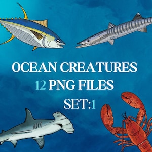 Fish Clipart, Ocean Creatures Clipart, Nautical Clipart, Fish Digital Download, Handdrawn Nautical Fish Illustration Ocean Clipart PNG