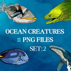 Fish Clipart, Ocean Creatures Clipart, Nautical Clipart, Fish Digital Download, Handdrawn Nautical Fish Illustration Ocean Clipart PNG