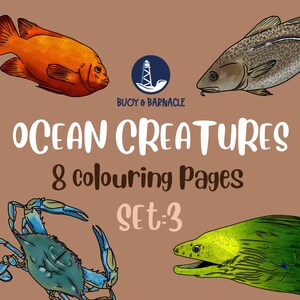 Dive into the Wonders of the Ocean with our Stunning Ocean Creatures Coloring Pages - Perfect for Adults and Kids! (Set 3)