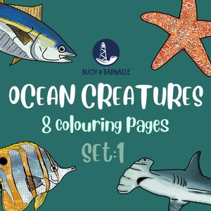 Dive into the Wonders of the Ocean with our Stunning Ocean Creatures Coloring Pages - Perfect for Adults and Kids! (Set 1)