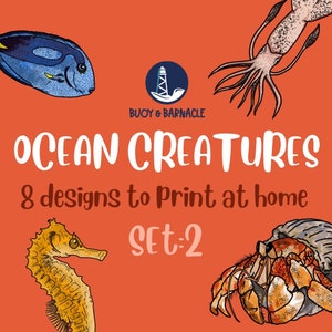 Add a Splash of Underwater Magic with Hand-Drawn Ocean Creature Art Prints - Perfect for Home Decor and Gifts! (Set 2)