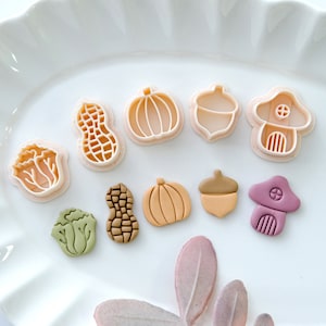 Puede incluir: Un juego de 10 cortadores de galletas en varias formas otoñales, incluyendo calabazas, bellotas, champiñones, cacahuetes y lechuga. Los cortadores están hechos de plástico rosa claro y están dispuestos en un plato blanco.