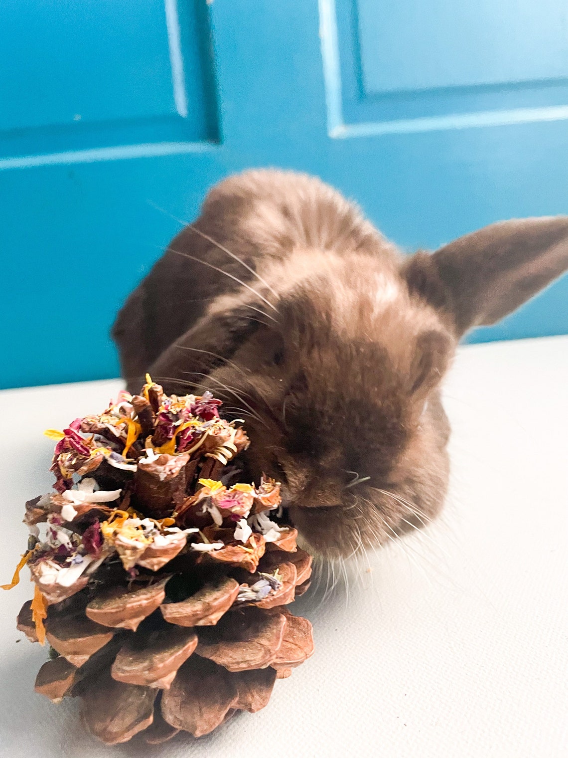 Forage Flings All Natural Bunny Toys Boredom Buster Bunny Etsy