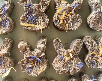 Hay BUNNY BITES, organic rabbit treats, baby bunny, bunny supplies.