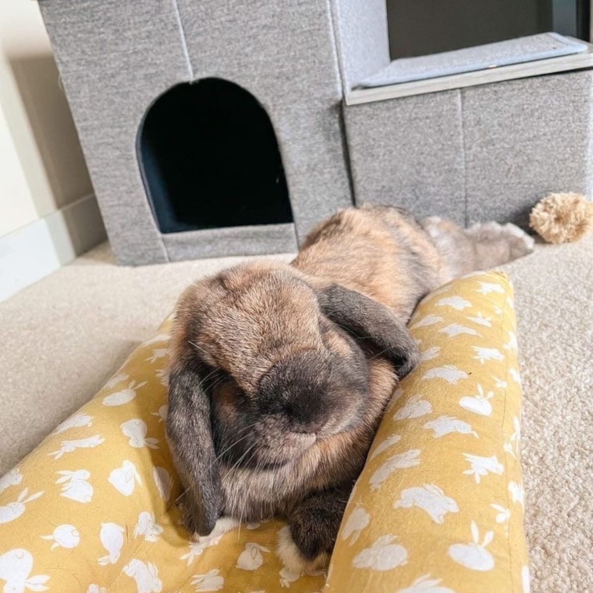 Bunny Snug Bed