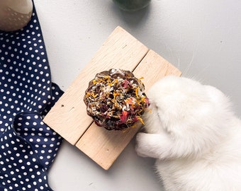Forage Flings     +     all natural bunny toys, boredom buster, bunny supplies, rabbit treats,