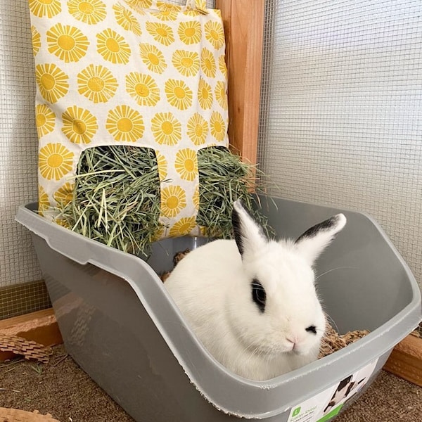 HAY BAGS + aesthetic pet accessories, bunny rabbit feeder, customizable pet products