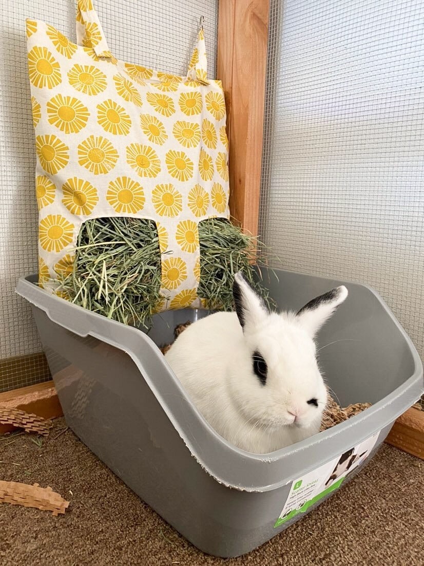 Hay zip purse new arrivals