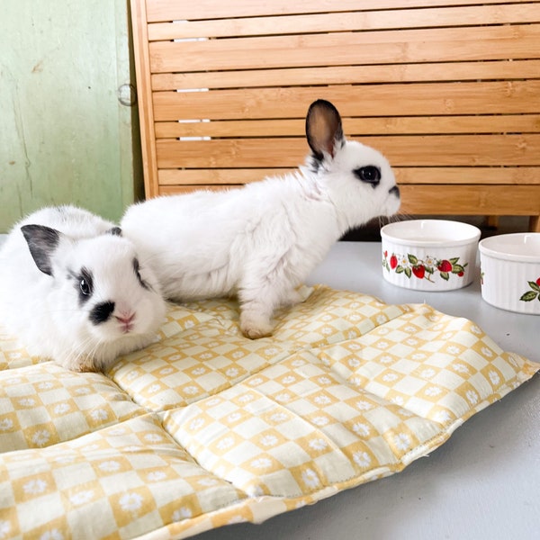 PLAY MATZ, bunny bed, rabbit mats, aesthetic pet feeding, pet accessories