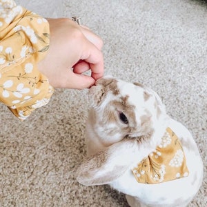 Matching bandana and scrunchie set for bunny and owner, cat mom, bunny mom