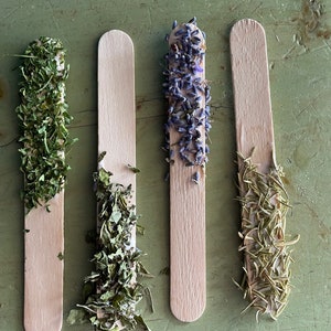 Going green herb wands + bunny chew treat + 2 or 4 pack +bunny toys
