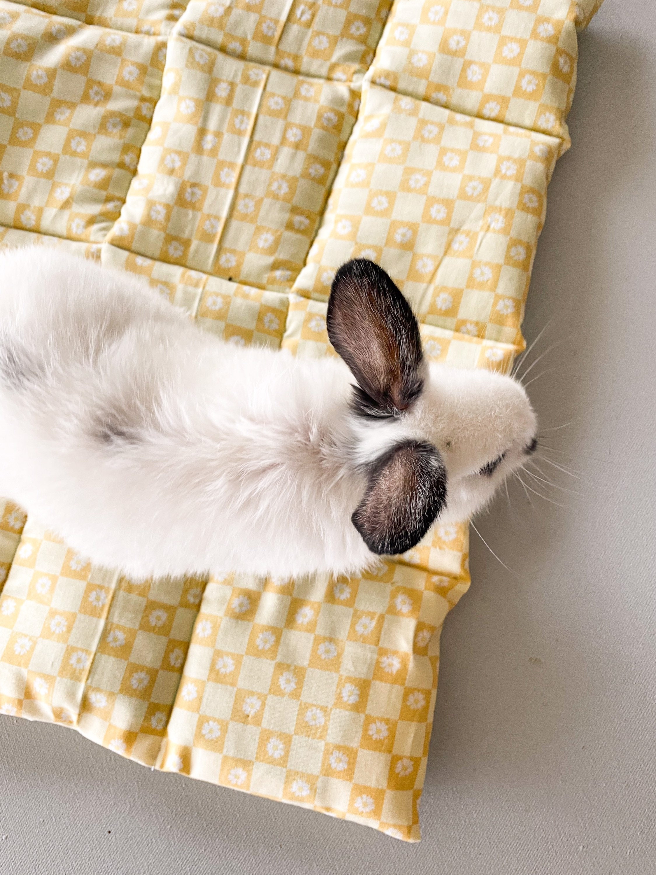 PLAY MATZ Bunny Bed Rabbit Mats Aesthetic Pet Feeding Pet Etsy