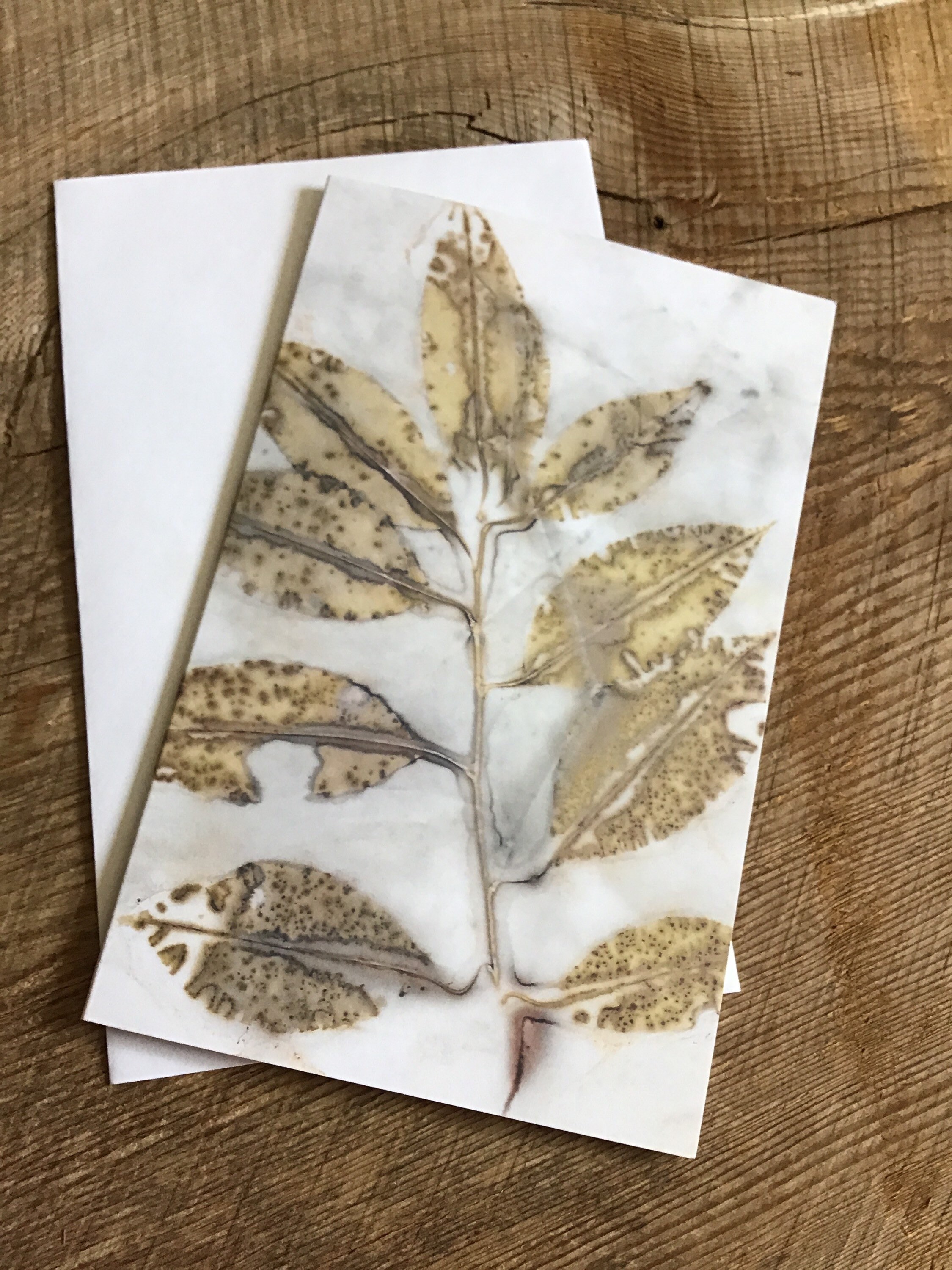 Leaf Eco Print from Original Art Etsy