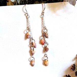 May include: A pair of drop earrings featuring silver-toned chains and multiple small, natural spiral seashells in shades of tan, brown, and pink. Each earring hangs from a silver-toned hook, with the shells attached to the chain links.