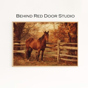 May include: A framed print depicting a brown horse in a field, with a wooden fence and autumnal trees. The artwork has a warm colour scheme. The text "BEHIND RED DOOR STUDIO" is at the top of the image.