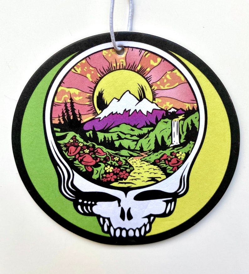 Set of 4 Grateful Dead car air Fresheners Dead and Company Etsy