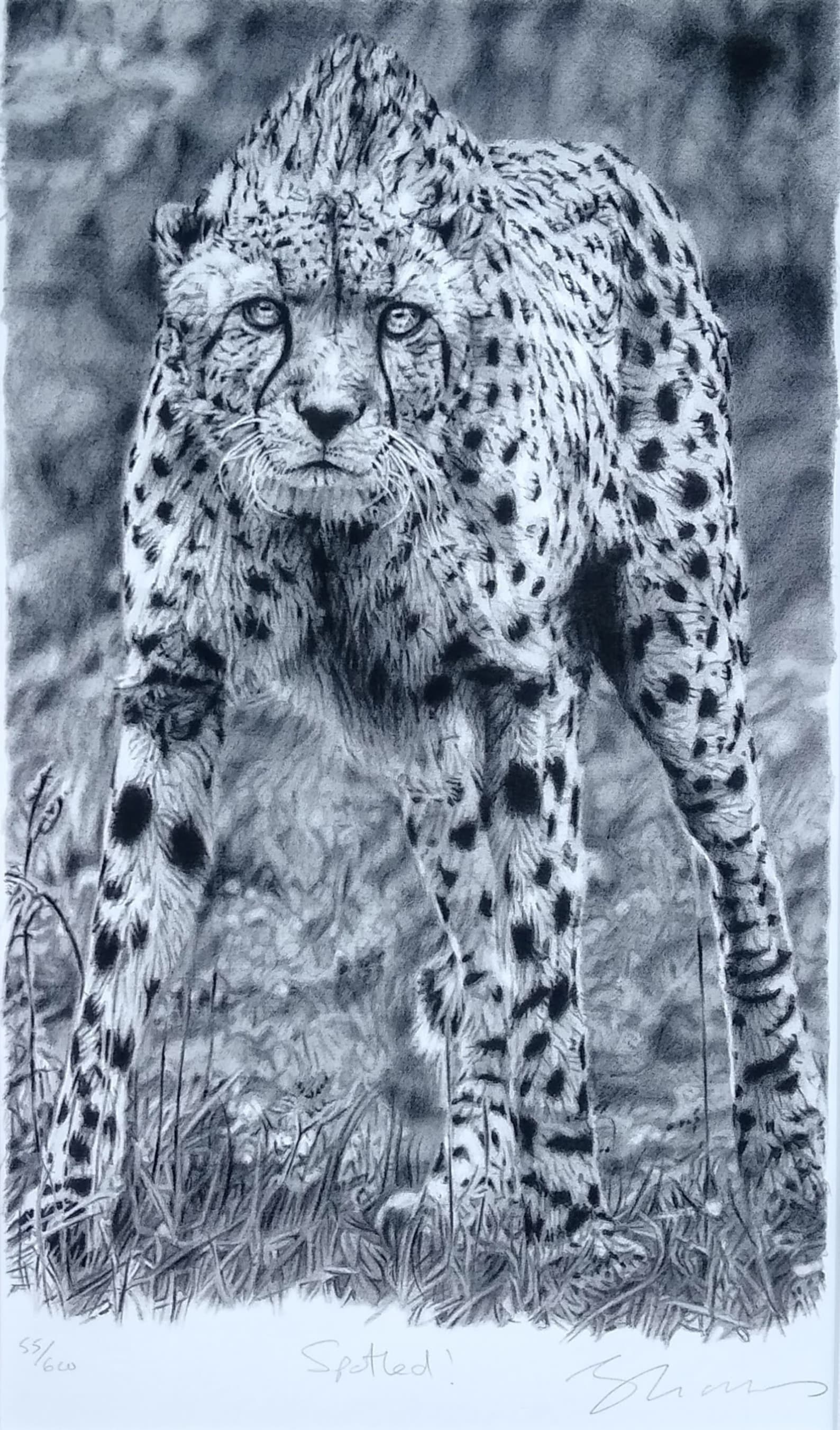 Cheetah Pencil Drawing Limited Edition Print. Spotted Etsy