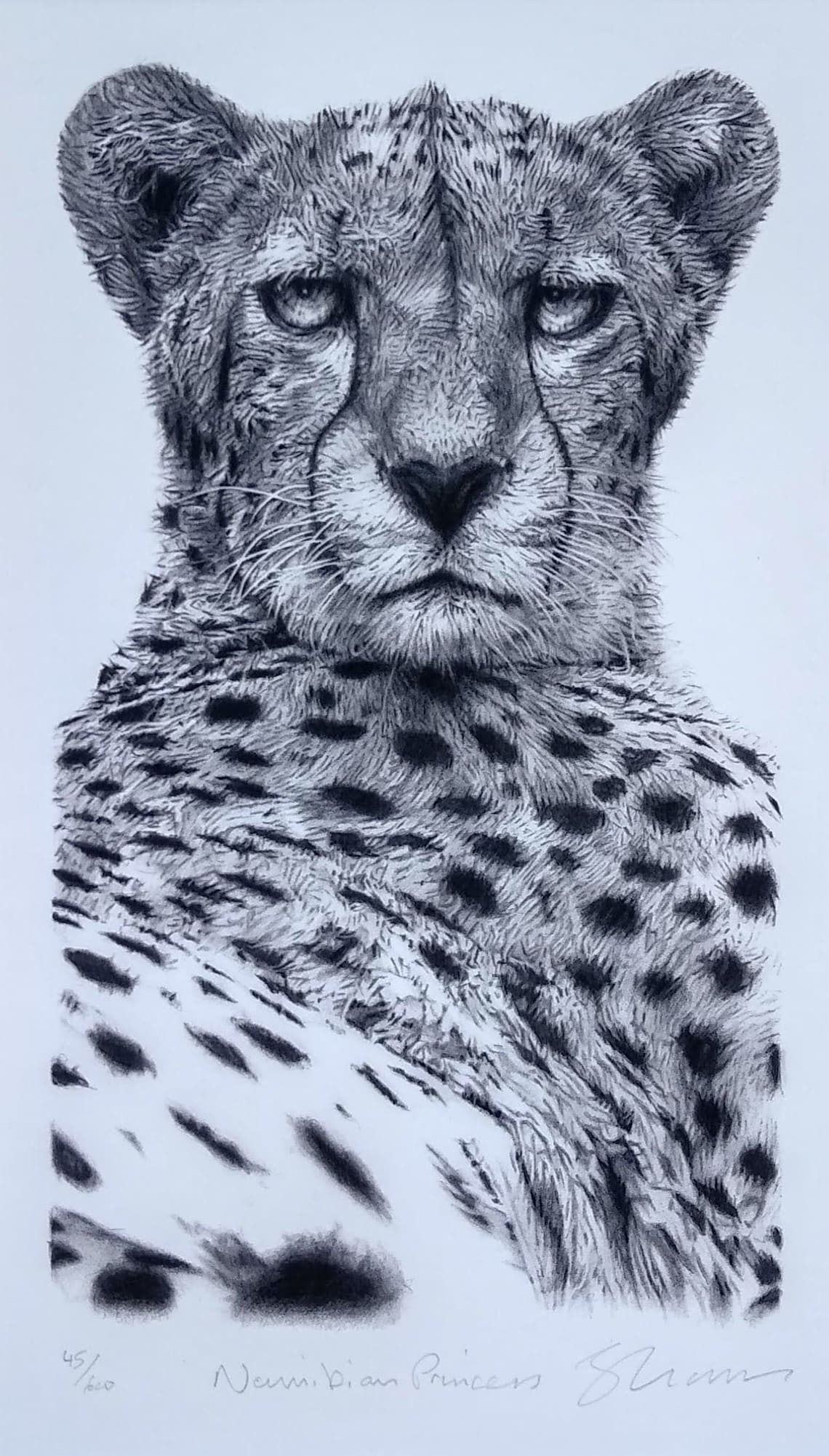 Cheetah Pencil Drawing Limited Edition Print. Namibian Etsy