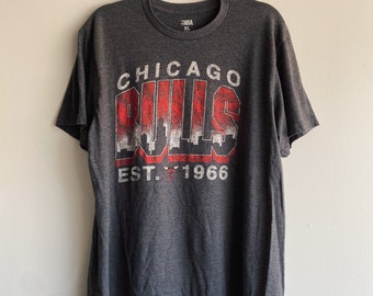 Chicago Bulls Unisex T-shirt | NBA Chicago Bulls