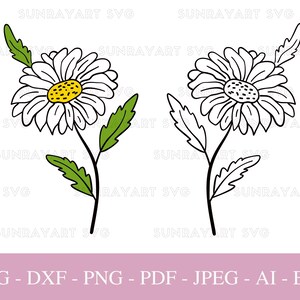 Archivos Daisy Svg para Cricut, Flor Botánica PNG, Flor Simple Svg, Flor Silvestre de Primavera SVG, Archivo de Corte DXF, Pdf.